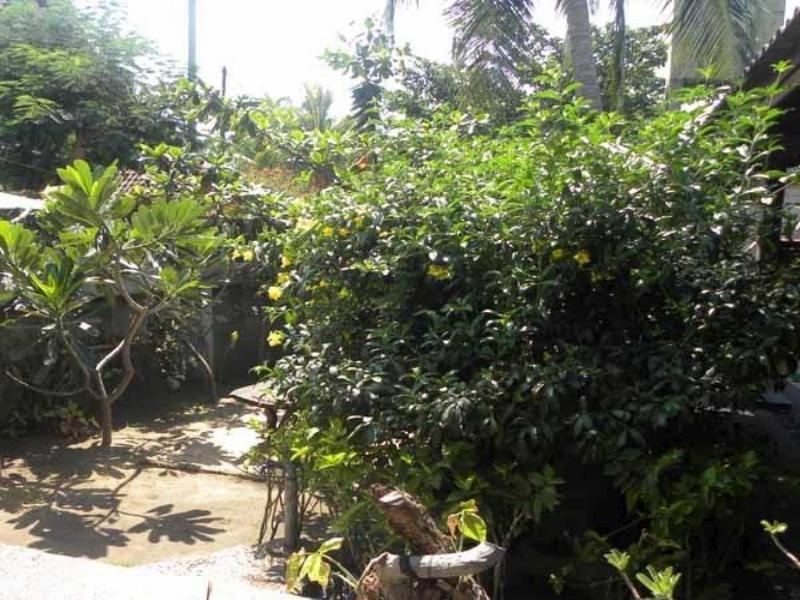 Malino Homestay Gili Trawangan Dış mekan fotoğraf